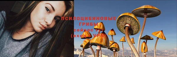 молекула духа Алзамай