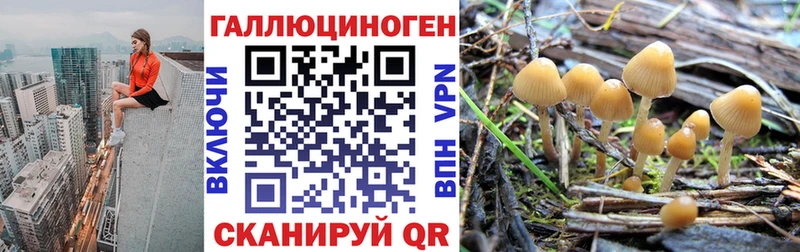 Галлюциногенные грибы мицелий Североуральск